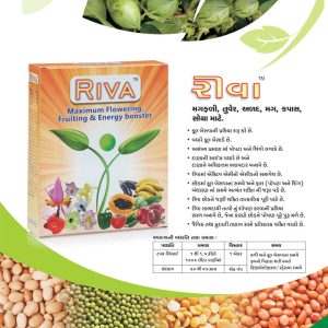 Riva_pulses brochure