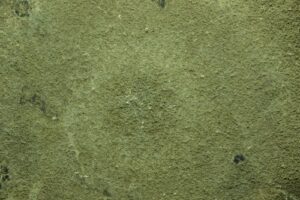 0G8A0823_c