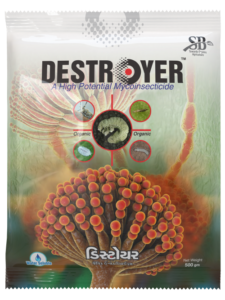 Destroyer Front