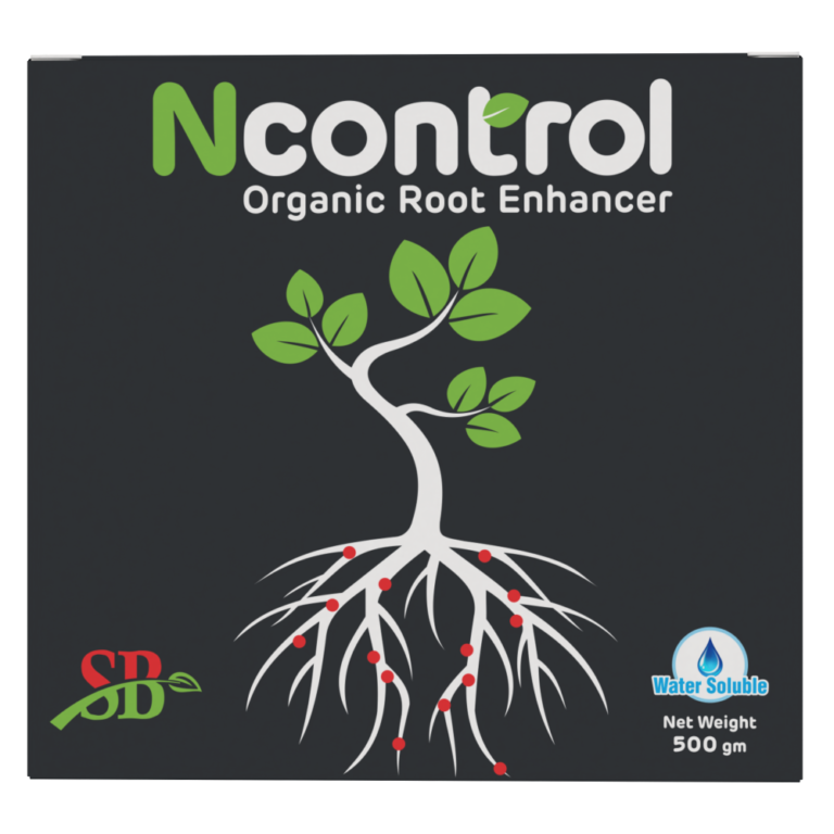 N Control Front