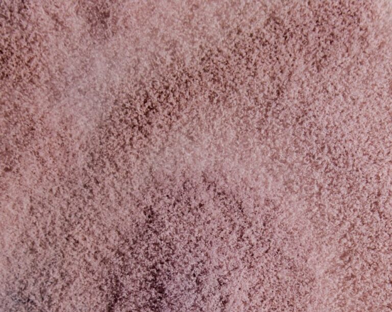 Paecilomyces_c