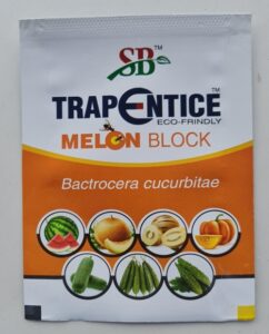 Melon block