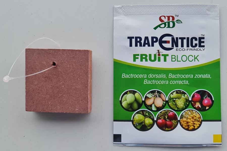 fruit block (2)