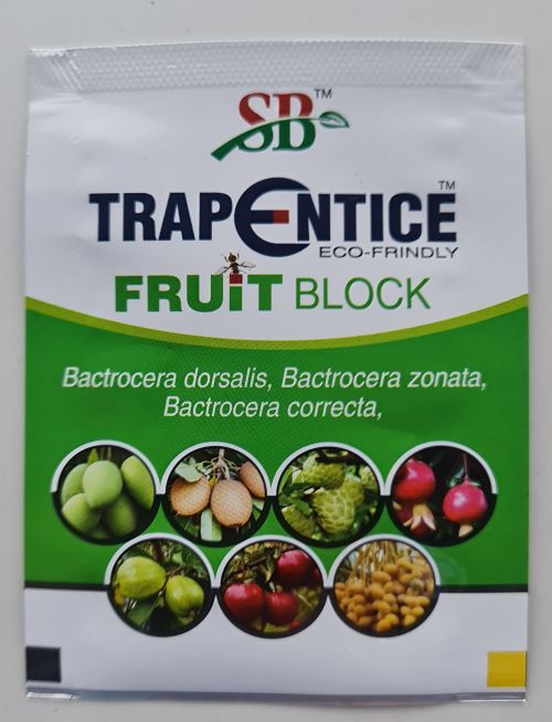 fruit block