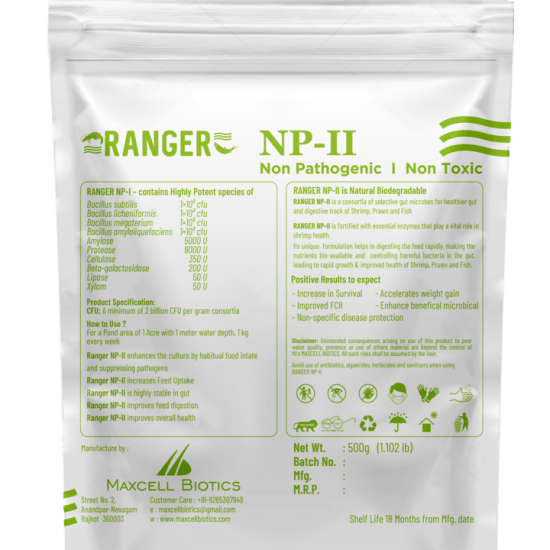 Ranger-NP-II-02