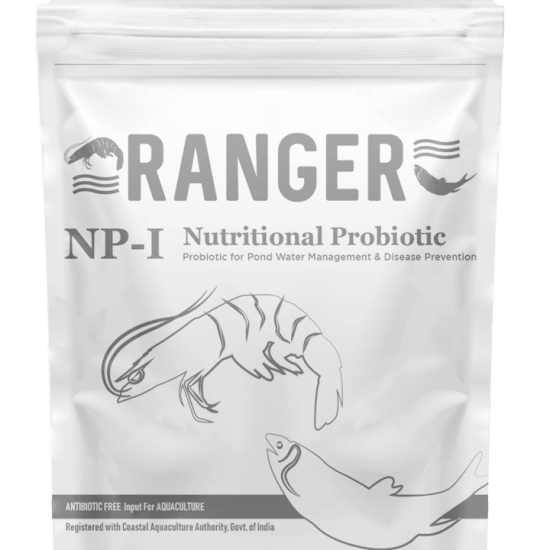 Ranger-NP-I_01